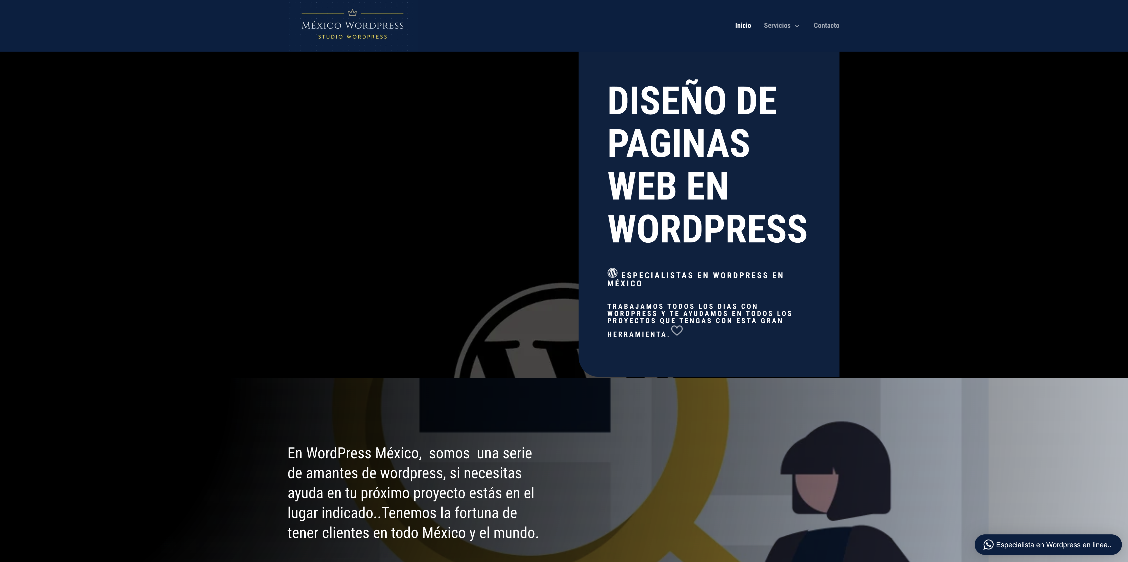 Diseño de paginas web en WordPress Diseño de paginas web en WordPress, especialistas en WordPress